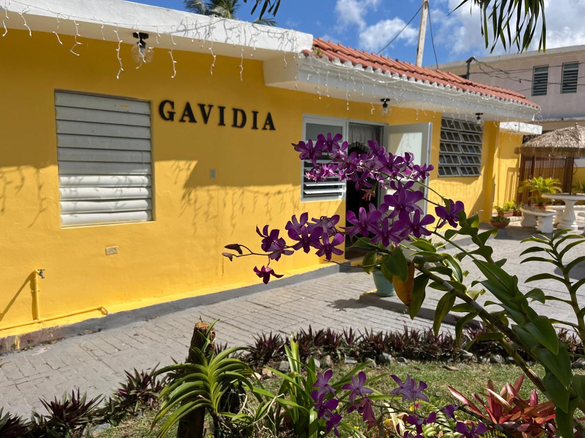 Gavidias Guest House San Lorenzo Exterior foto