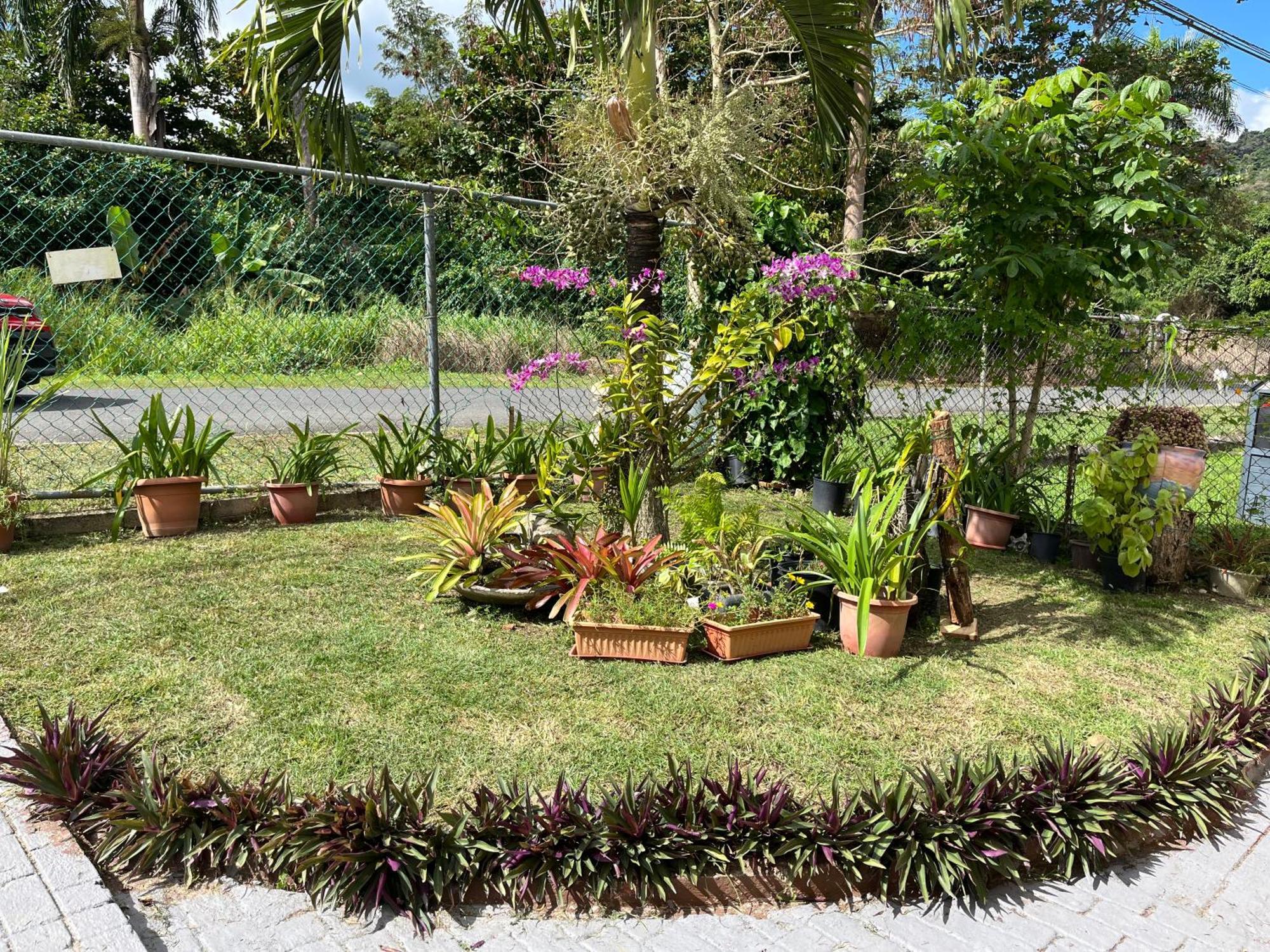 Gavidias Guest House San Lorenzo Exterior foto